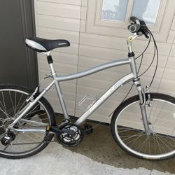 Ladies Cruiser Bike