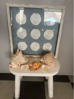 Sea Shell Decor