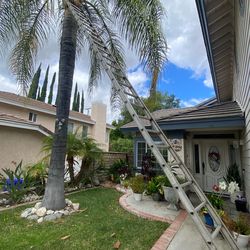 50 foot extendable ladder