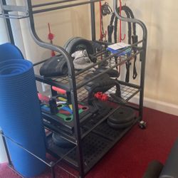 Dumbbell And Weight Stand Hardly Used 