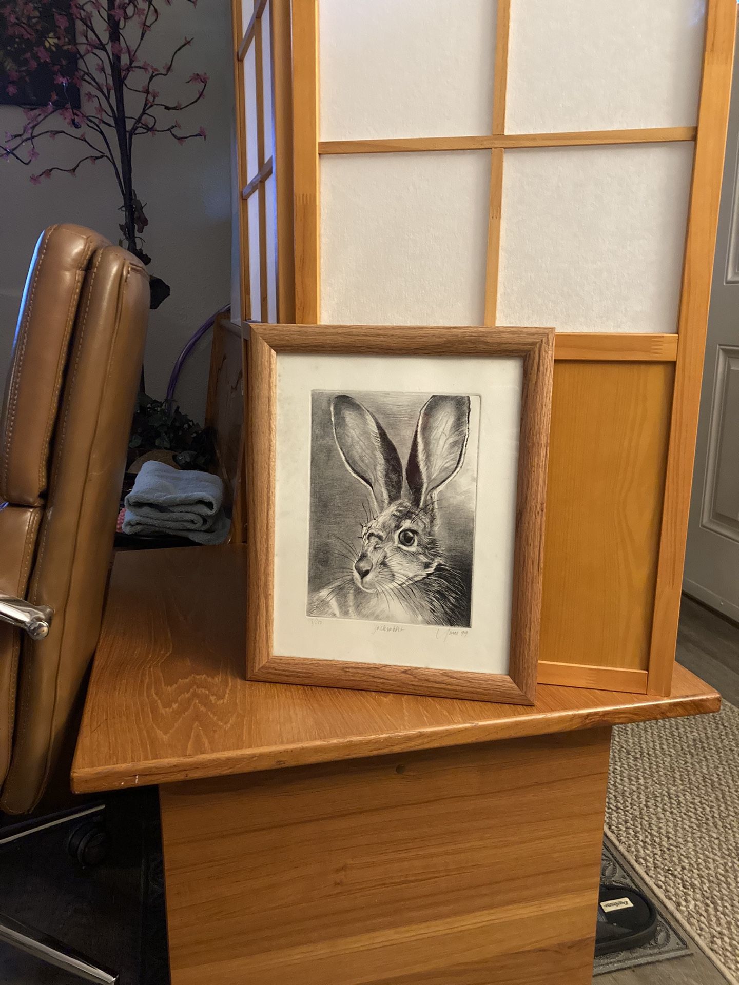 Jackrabbit