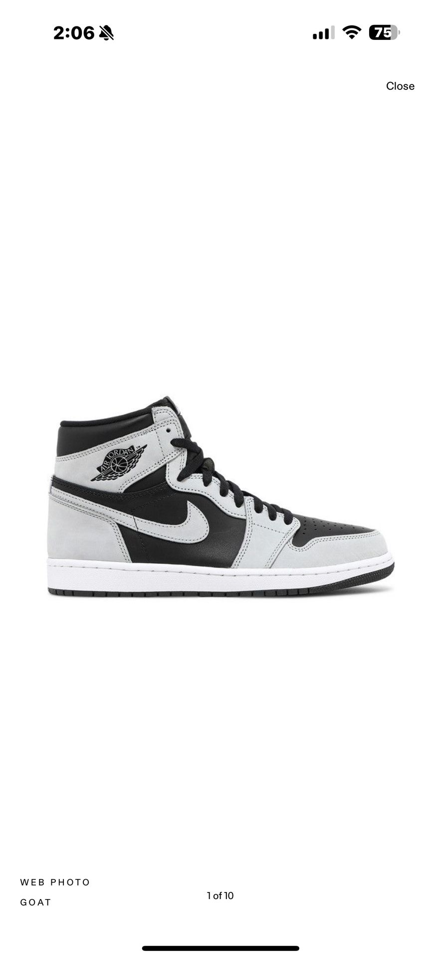 2021 Air Jordan 1 Retro High OG 'Shadow 2.0'