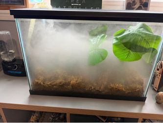 Tree frog enclosure