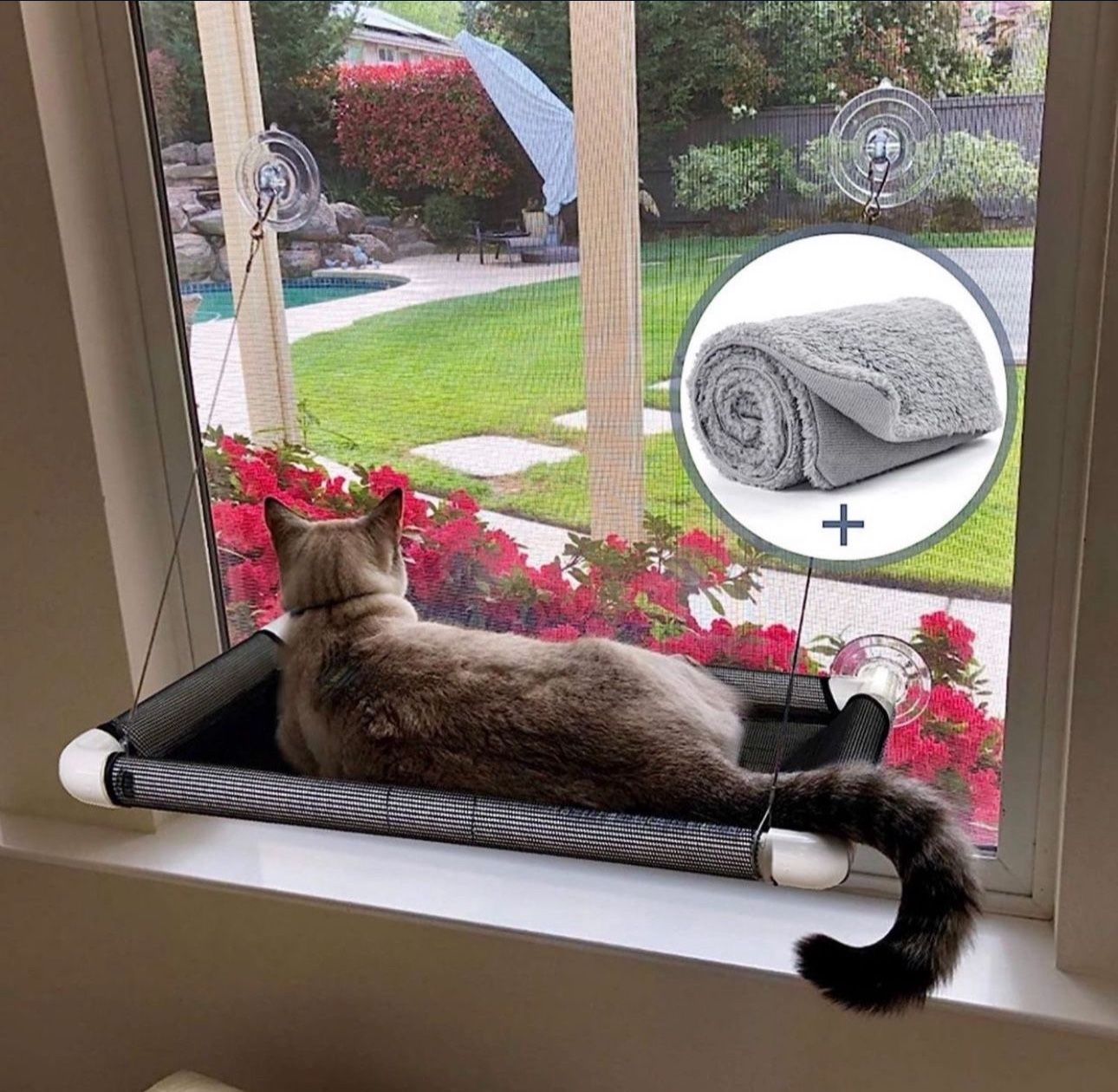 Cat Window Perch - Cat Hammocks for Window with Plush Pad, Space Saving Cat Bed, Pet Resting Seat Safety Holds Two Large Cats, Providing All Around 36