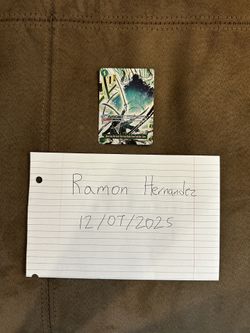 One Piece Card