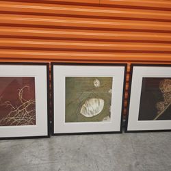 Bella Bigsby Artwork - set of 3