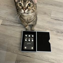 Universal Audio Dream ‘65