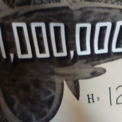 1 Million Dollar Plush Blanket