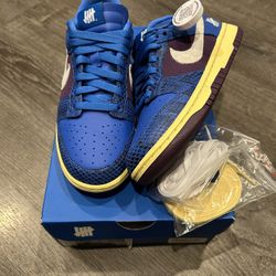 Nike Dunk Undefeated 5 On It 