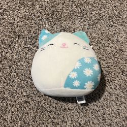Cat Squishmallow