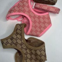 GUCCI HARNESS / LEASH SET 