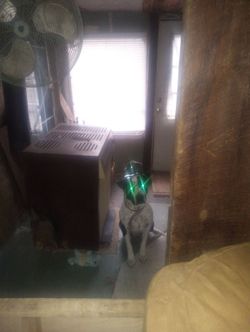 Wood stove