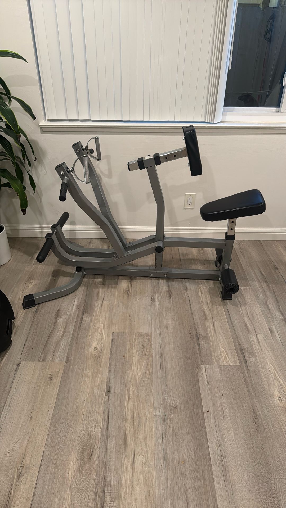 Back Pull/row Machine