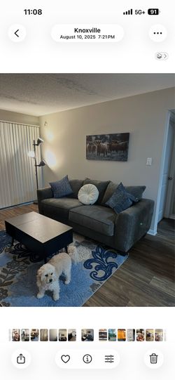Sleeper Sofa and area rug and comfy swivel side chair (new)