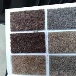 CARPET