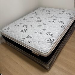 New Queen Mattress And Box Spring !