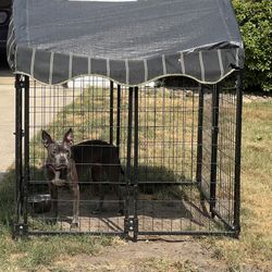 Outside Dog Kennel 