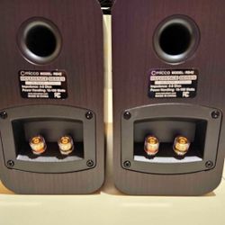 Receiver And Speaker 