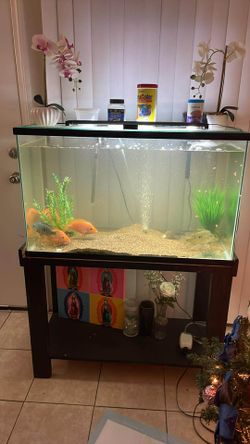 Fish Tank