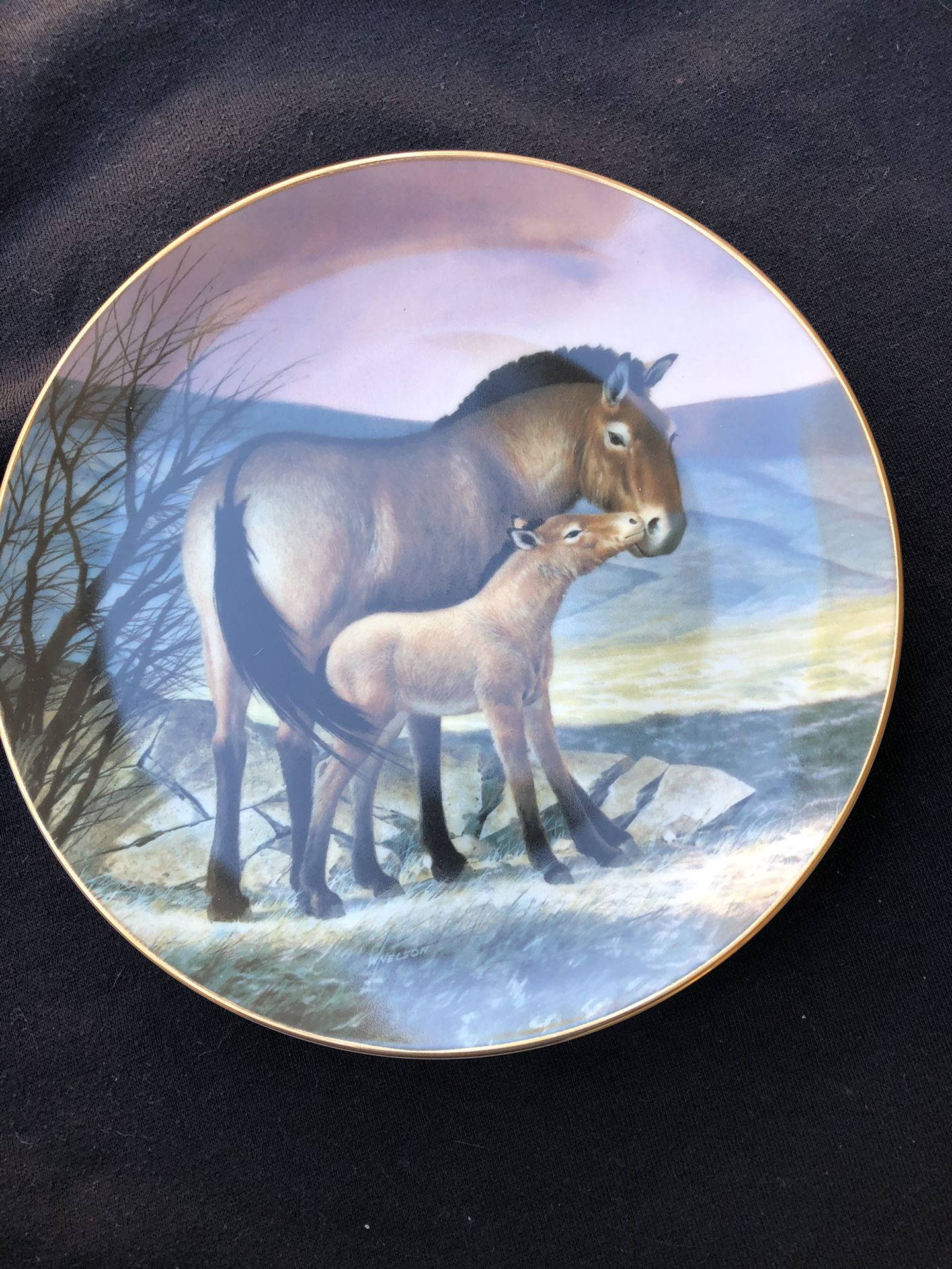 Przewalski’s Horse collective fine China plate..