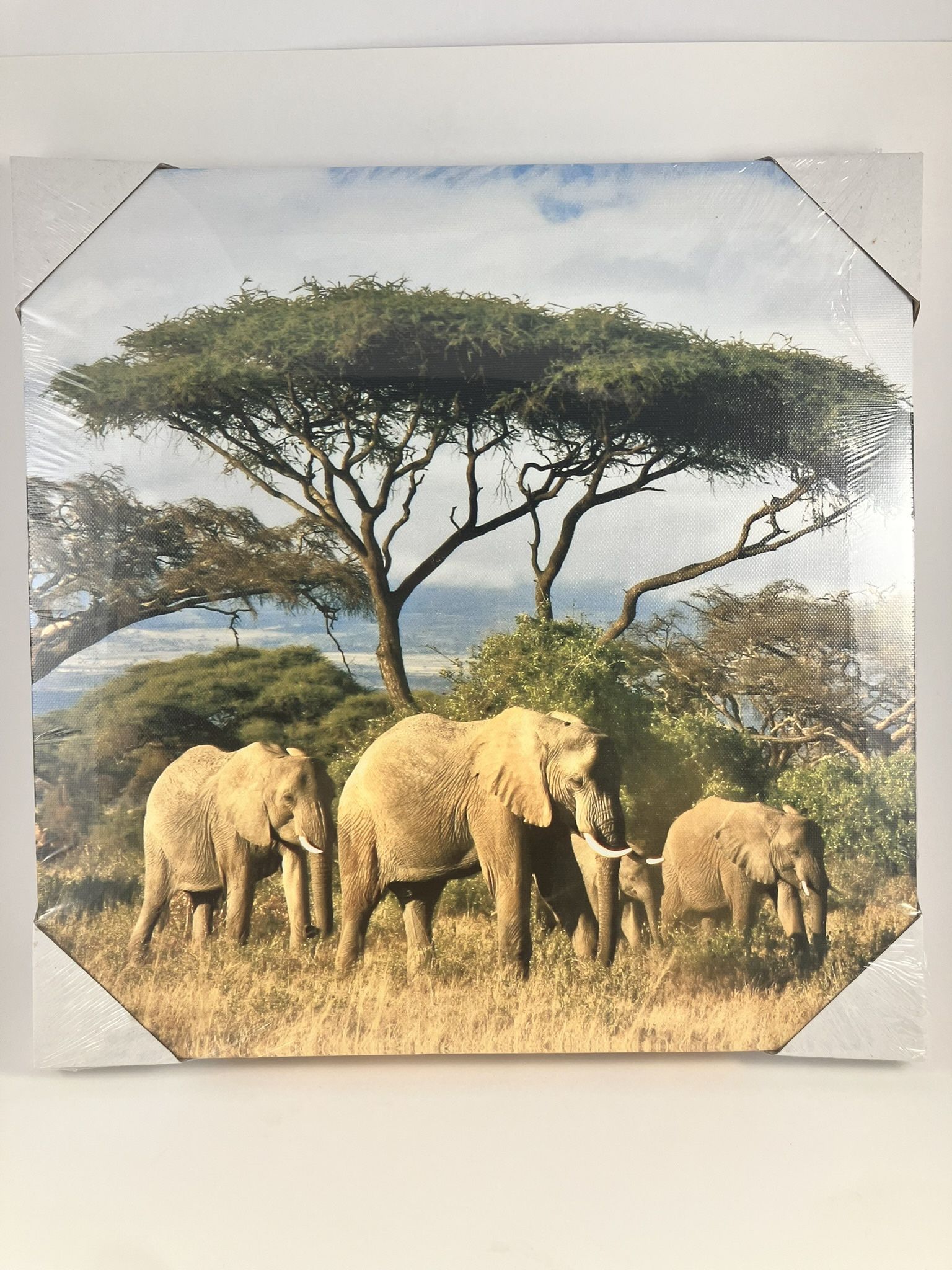 NEW Set of 4 Safari Canvas Wall Art 16x20 – Elephants Lions Giraffes Zebras Sealed