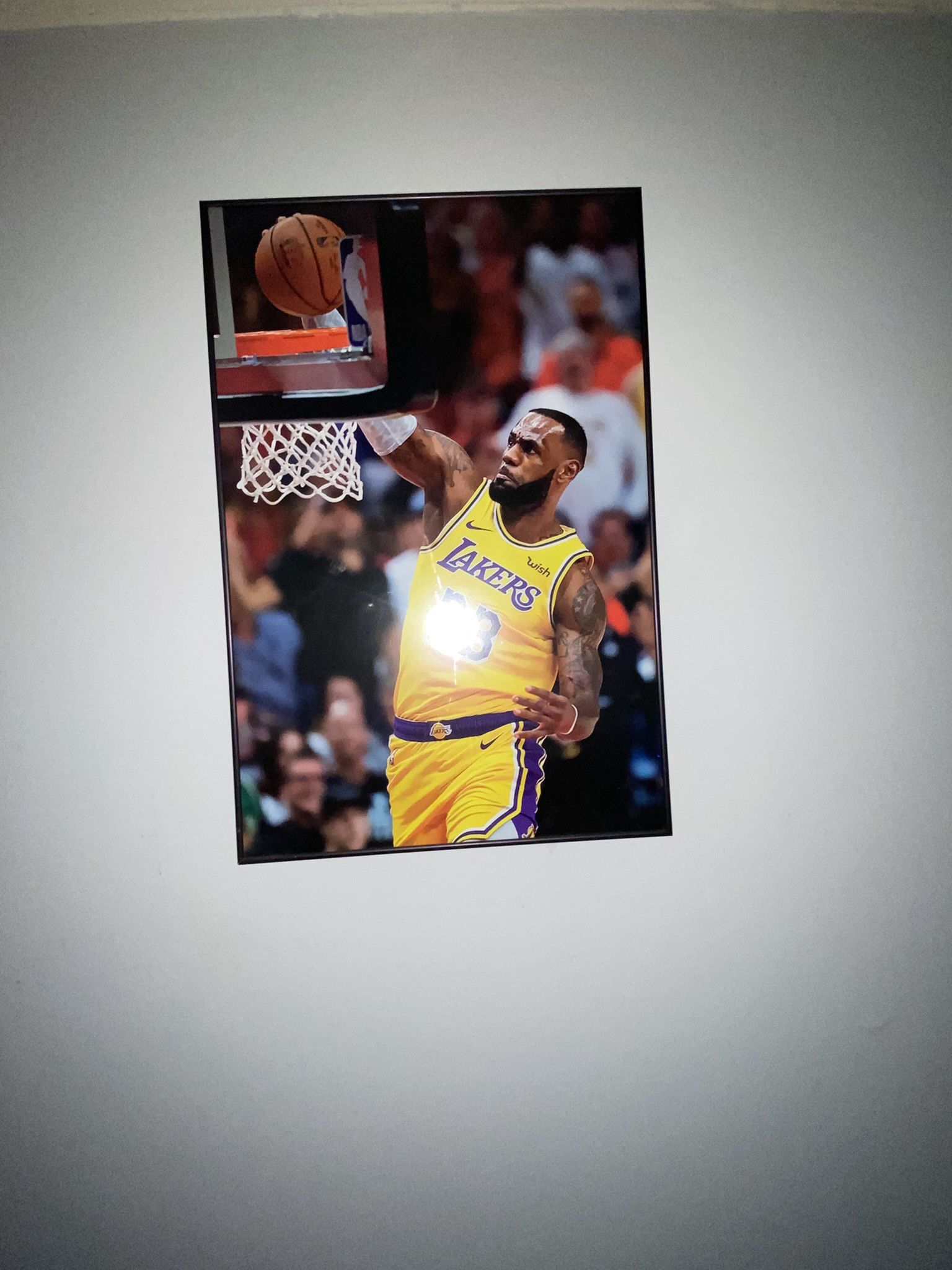 LeBron Picture