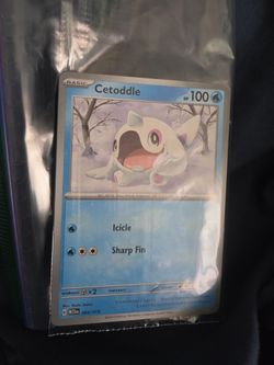 Cetoddle new