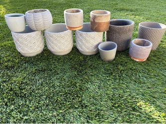 10 small pots 20 Dollars everything