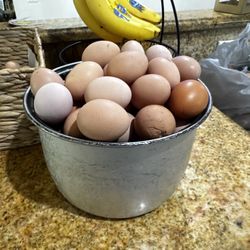 Farm Fresh Eggs 