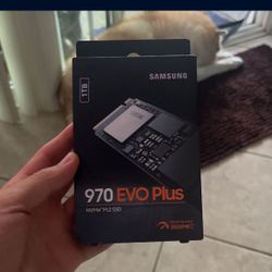 1TB Samsung 970 Evo Plus NVME