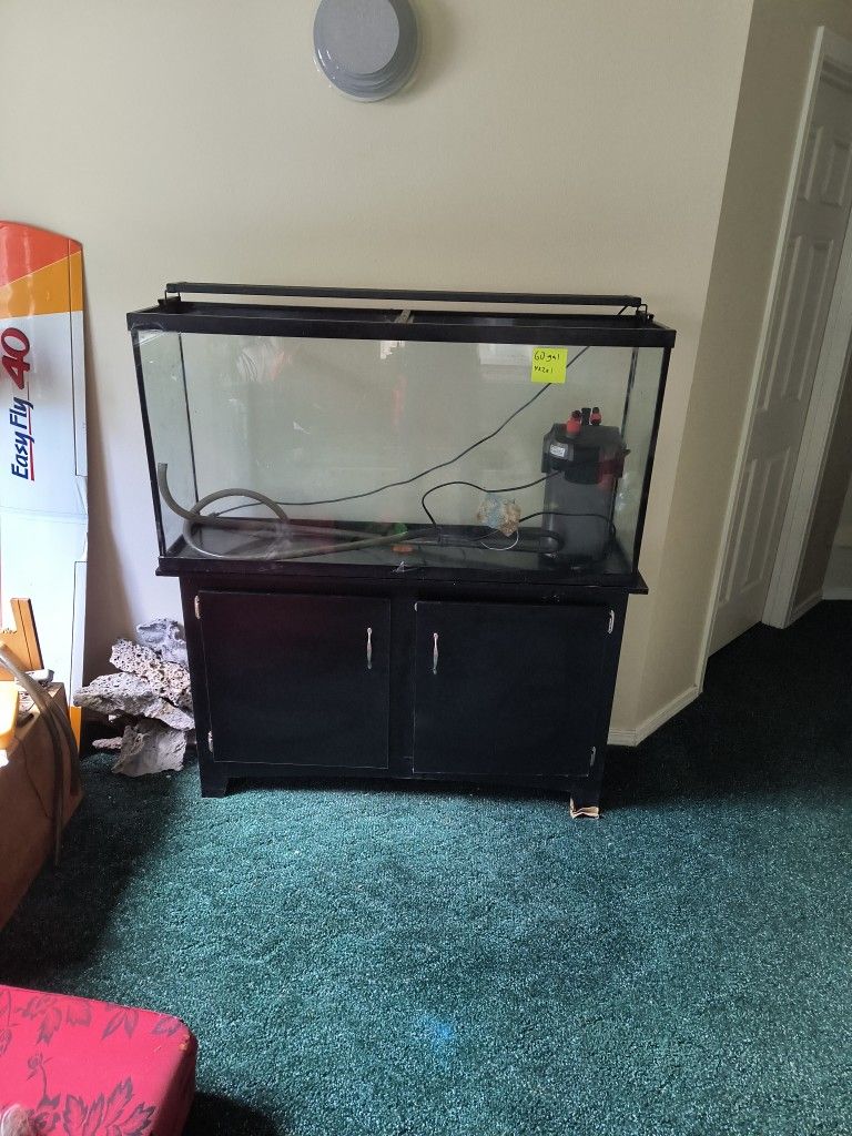 60 Gallon Fish Tank Filter And Light With Stand Set Up $300