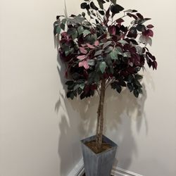 Fake Plant 6’