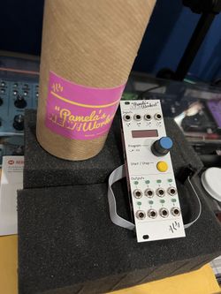 ALM Busy Circuits Pamela's New Workout Master Clock + Modulator