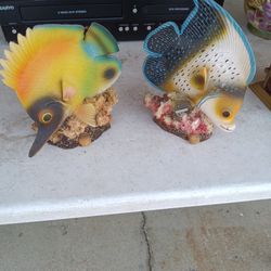 Beautiful Fish Decor.