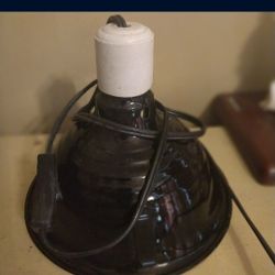 Reptile Heat Lamps