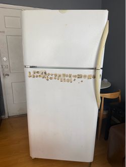 Fridge