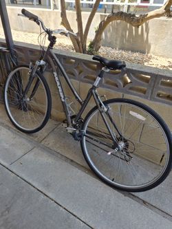 Bikes,one is Elmwood the other one is Marin