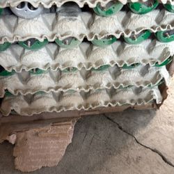 Fluorescent Lighting 