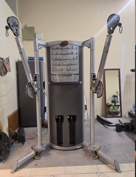 Paramount Functional Trainer Workout Fitness Exercise Gym Equipment