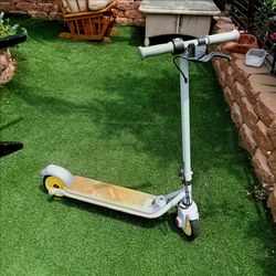Segway Ninebot Zing C8 Electric scooter