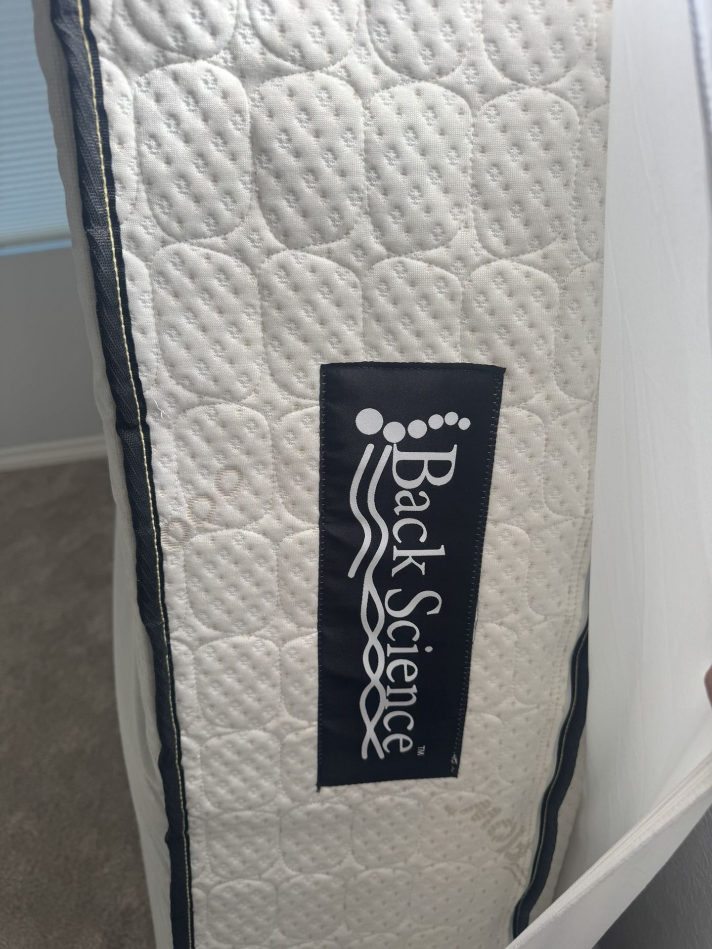 Mattress Back Science series 2