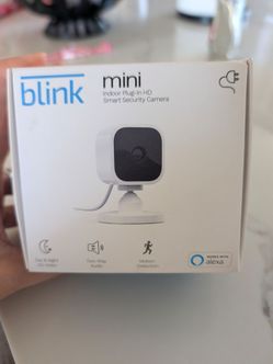 Blink mini
