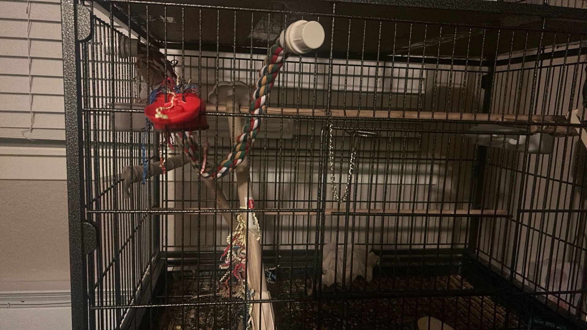 bird cage