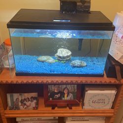 10 Gal Fish Aquarium 
