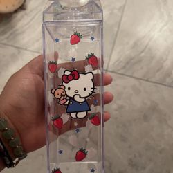 Hello Kitty Strawberry Milk Carton Bottle