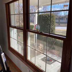 Marvin Elevate Double Hung Insert Window 66.5x44.5