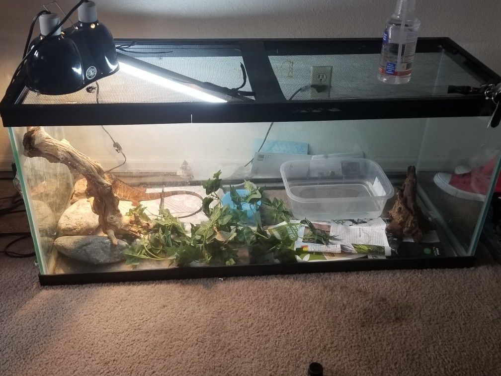 75 gallon reptile tank with screen