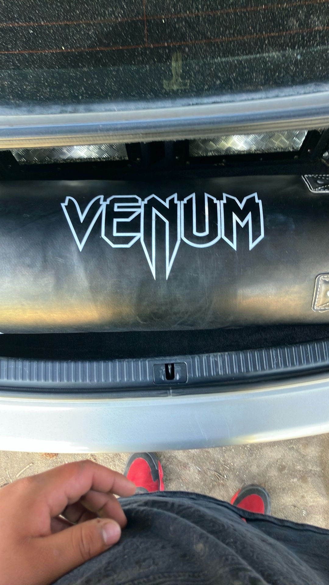Venom Punching Bag
