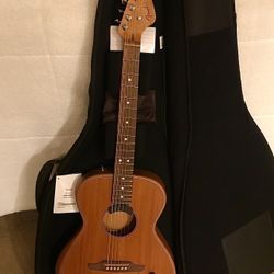 FS/FT/OBO Fender Highway Parlor