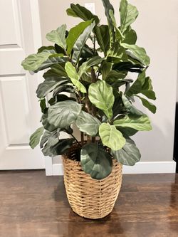 Nearly natural Artificial Fig Tree